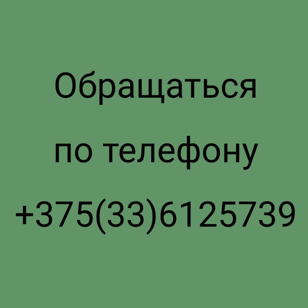 Контакты
